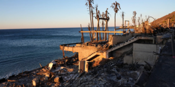 L.A. 2.0: Red Tape, Green Energy, and Olympic Hurdles