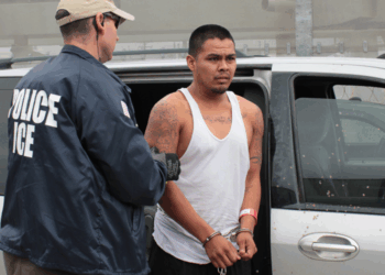 ICE Raids Up, Crime Down: LAPD Calls Plummet After Deportations