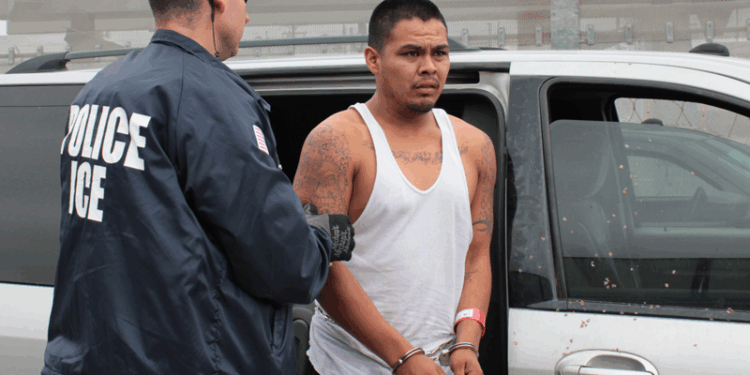 ICE Raids Up, Crime Down: LAPD Calls Plummet After Deportations